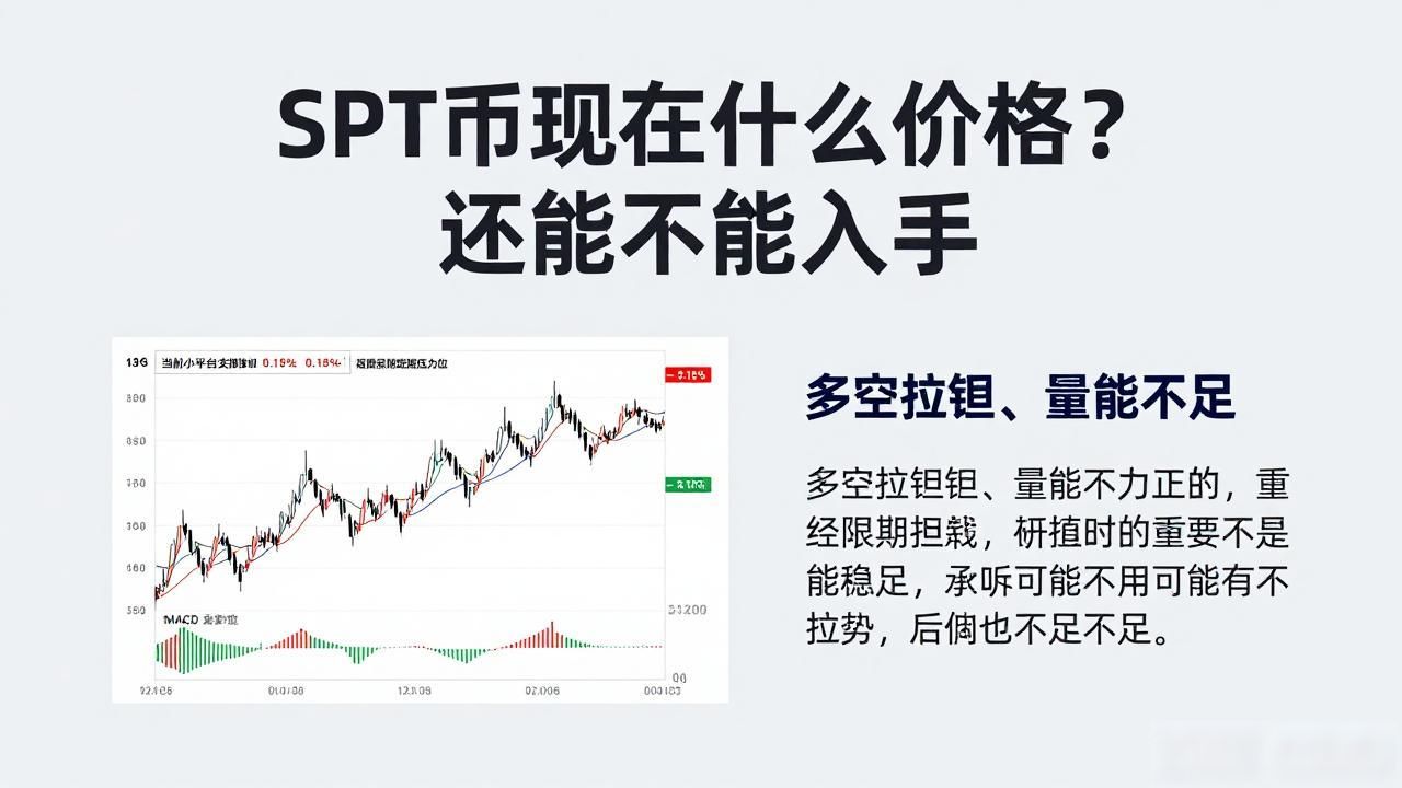 SPT币现在什么价格？还能不能入手