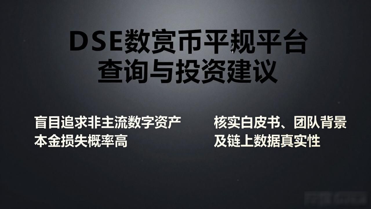 DSE数字货币交易平台查询与投资建议